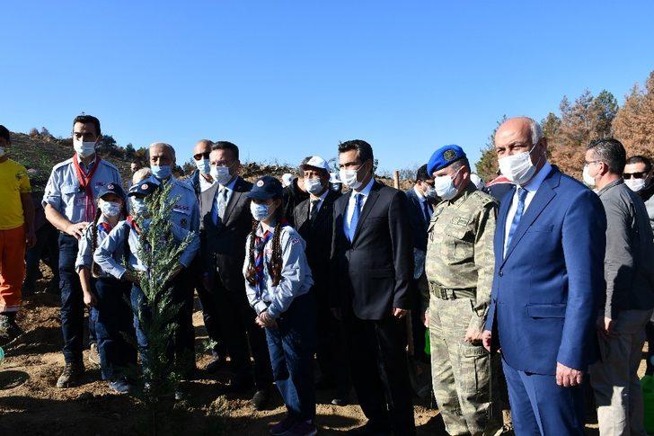 Söke’de eylül ayında yanan alanlar yeniden ağaçla buluşuyor G1