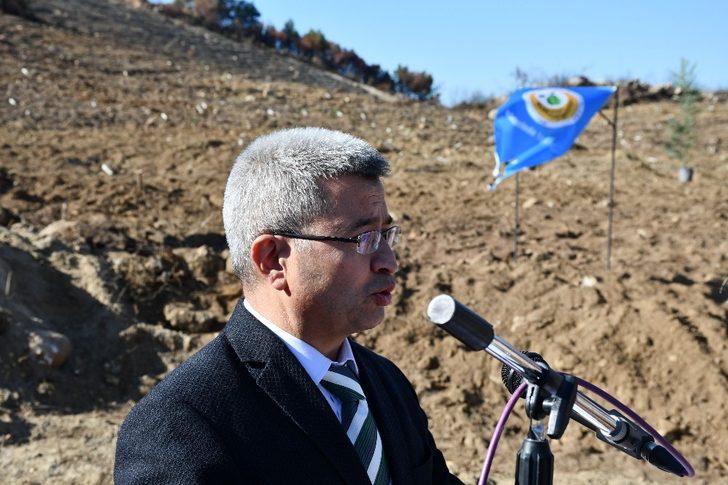 Söke’de eylül ayında yanan alanlar yeniden ağaçla buluşuyor G4