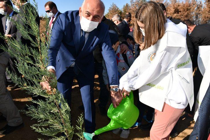 Söke’de eylül ayında yanan alanlar yeniden ağaçla buluşuyor G5