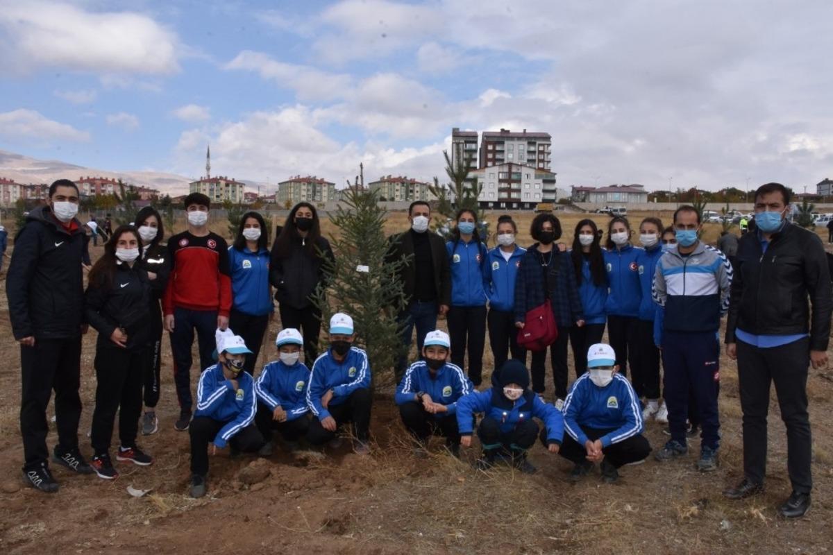 Tatvan&rsquo;da y&uuml;zlerce fidan toprakla buluşturuldu