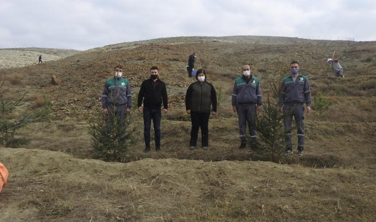 Geleceğe nefes kampanyası Boz&uuml;y&uuml;k&rsquo;te de karşılık buldu