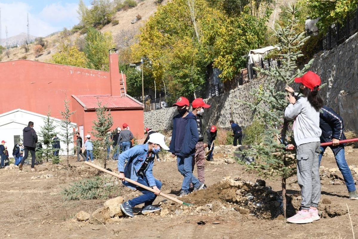 &Ccedil;atak&rsquo;ta fidan dikim