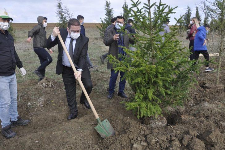 Tekirdağ’da fidanlar toprakla buluştu G1