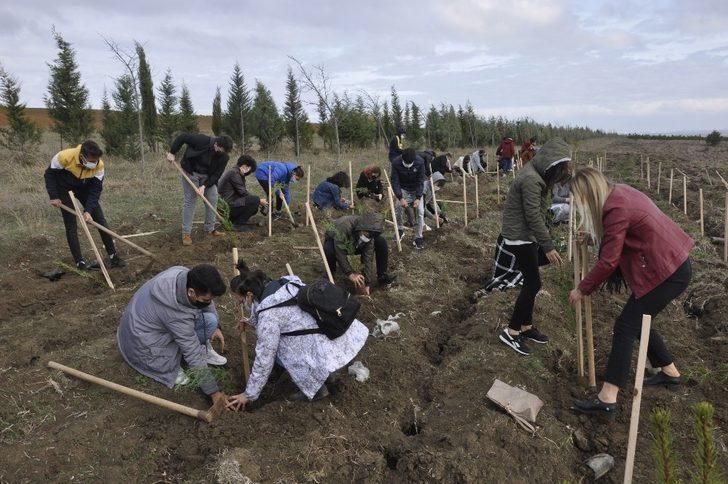 Tekirdağ’da fidanlar toprakla buluştu G2