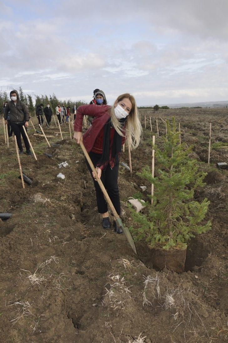 Tekirdağ’da fidanlar toprakla buluştu G4