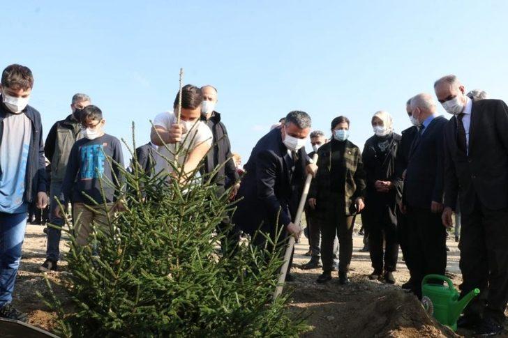 Düzce’de ‘Geleceğe nefes’ seferberliğiyle fidanlar toprakla buluştu G1