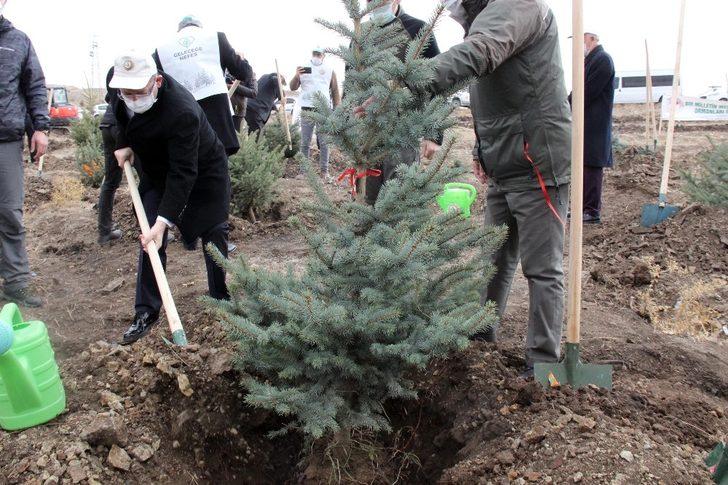 Fidanlar toprakla buluştu G1