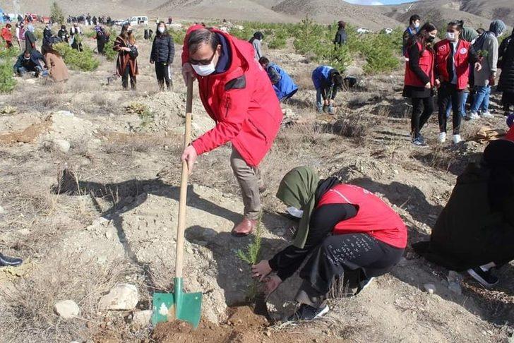 Erzincan’da binlerce fidan toprakla buluştu G2