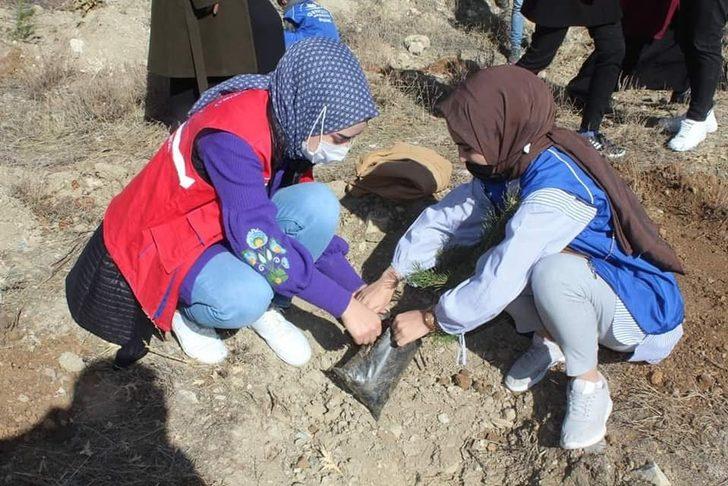 Erzincan’da binlerce fidan toprakla buluştu G3