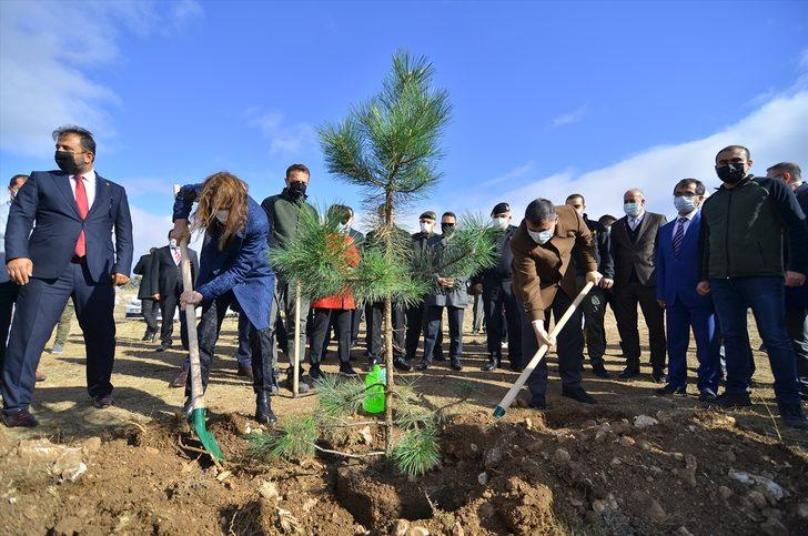 Karadeniz Bölgesi ve Çankırı'da "Milli Ağaçlandırma Günü" etkinliği düzenlendi G4