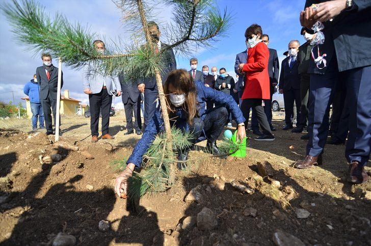 Karadeniz Bölgesi ve Çankırı'da "Milli Ağaçlandırma Günü" etkinliği düzenlendi G5