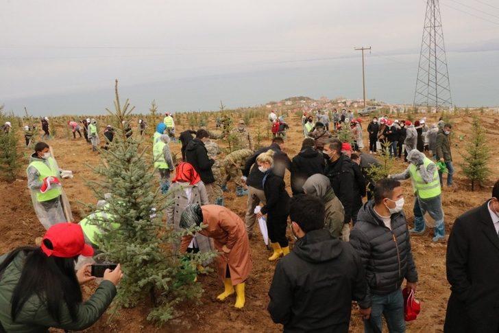 Van Valisi Bilmez: “Geçen sene dikilen ağaçların yüzde 80’i tuttu” G1