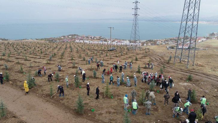 Van Valisi Bilmez: “Geçen sene dikilen ağaçların yüzde 80’i tuttu” G2