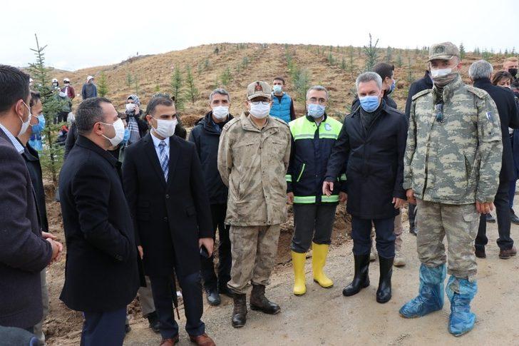 Van Valisi Bilmez: “Geçen sene dikilen ağaçların yüzde 80’i tuttu” G3