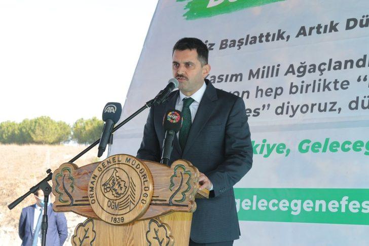 Balıkesir’de 10 bin fidan toprakla buluştu G3