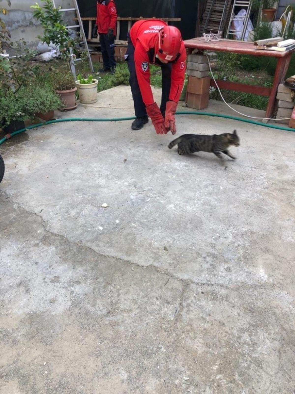 Burhaniye&rsquo;de kedi kurtarma operasyonu