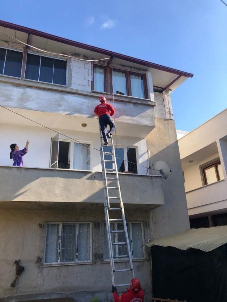 Burhaniye’de kedi kurtarma operasyonu G2