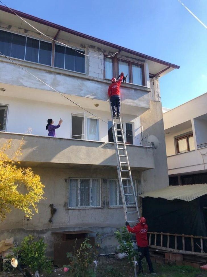 Burhaniye’de kedi kurtarma operasyonu G3