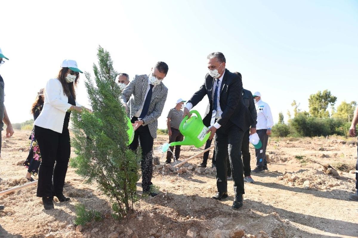 Muratpaşa&rsquo;da fidanlar toprakla buluştu