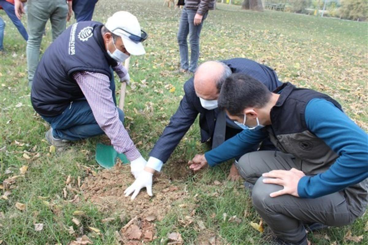 Osmaneli&rsquo;de &rsquo;Geleceğe Nefes&rsquo; kampanyasıyla 200 fidan toprakla buluştu