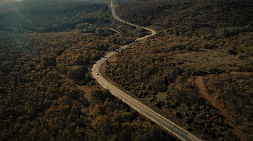 Doğa fotoğrafçılarının uğrak noktası oldu! Gören hayran kalıyor
