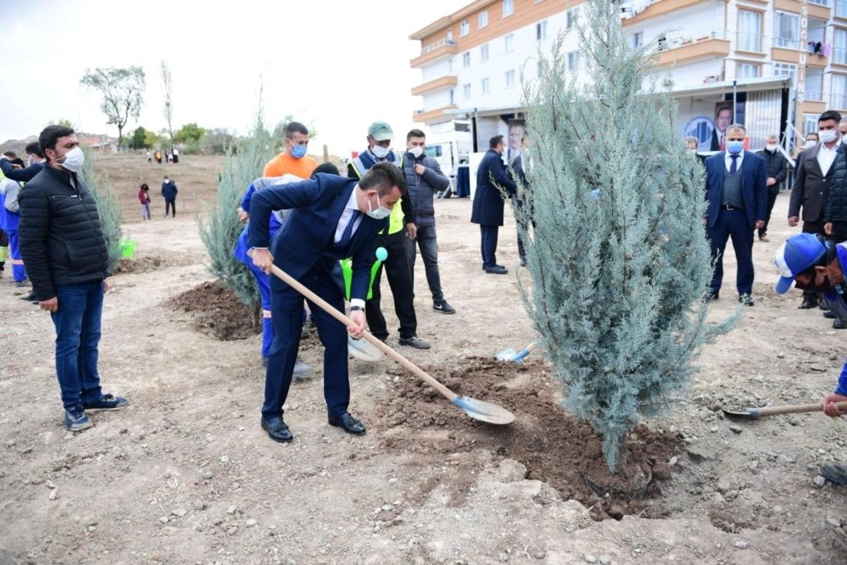 Altındağ&rsquo;a bir orman daha