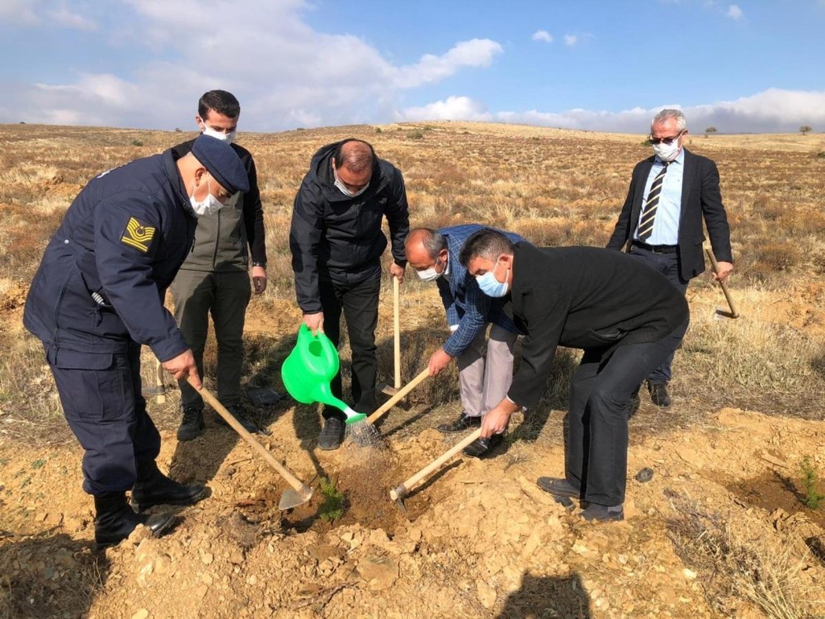 H&uuml;y&uuml;k&rsquo;te &ldquo;geleceğe nefes&rdquo; olmak i&ccedil;in fidanlar toprakla buluşturuldu