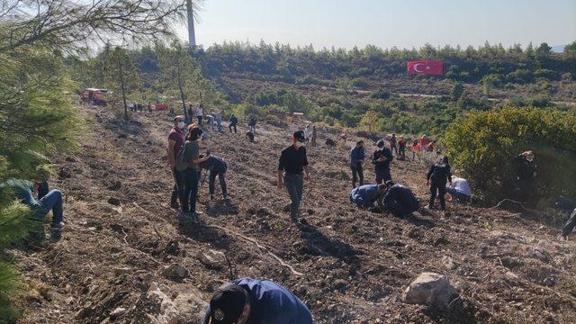 Datça’da 2 bin fidan toprakla buluştu