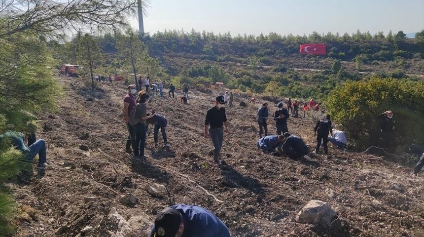 Dat&ccedil;a&rsquo;da 2 bin fidan toprakla buluştu