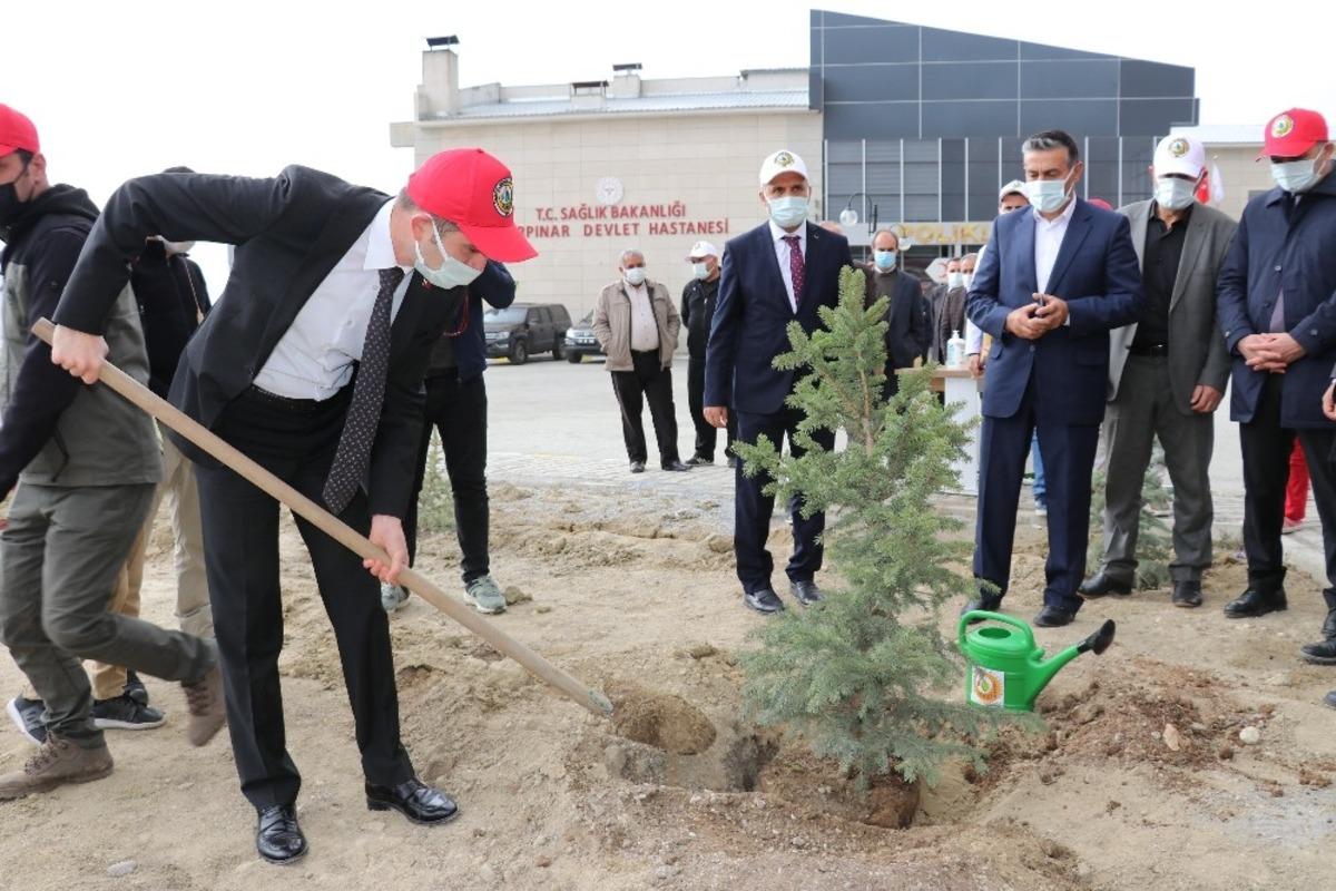 G&uuml;rpınar&rsquo;da fidan dikimi