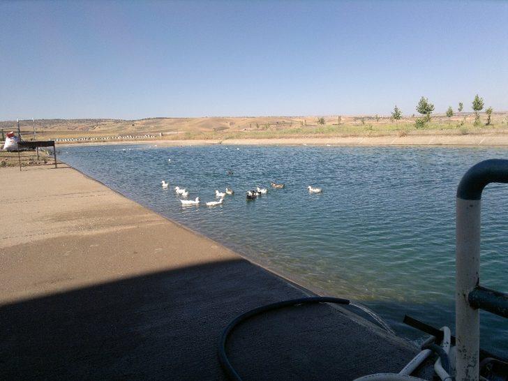 Mardin’de 100 bin dekar tarım arazisi sulandı G2