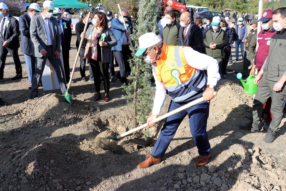 Batı Karadeniz ve Doğu Marmara'da "Milli Ağa&ccedil;landırma G&uuml;n&uuml;" etkinlikleri d&uuml;zenlendi