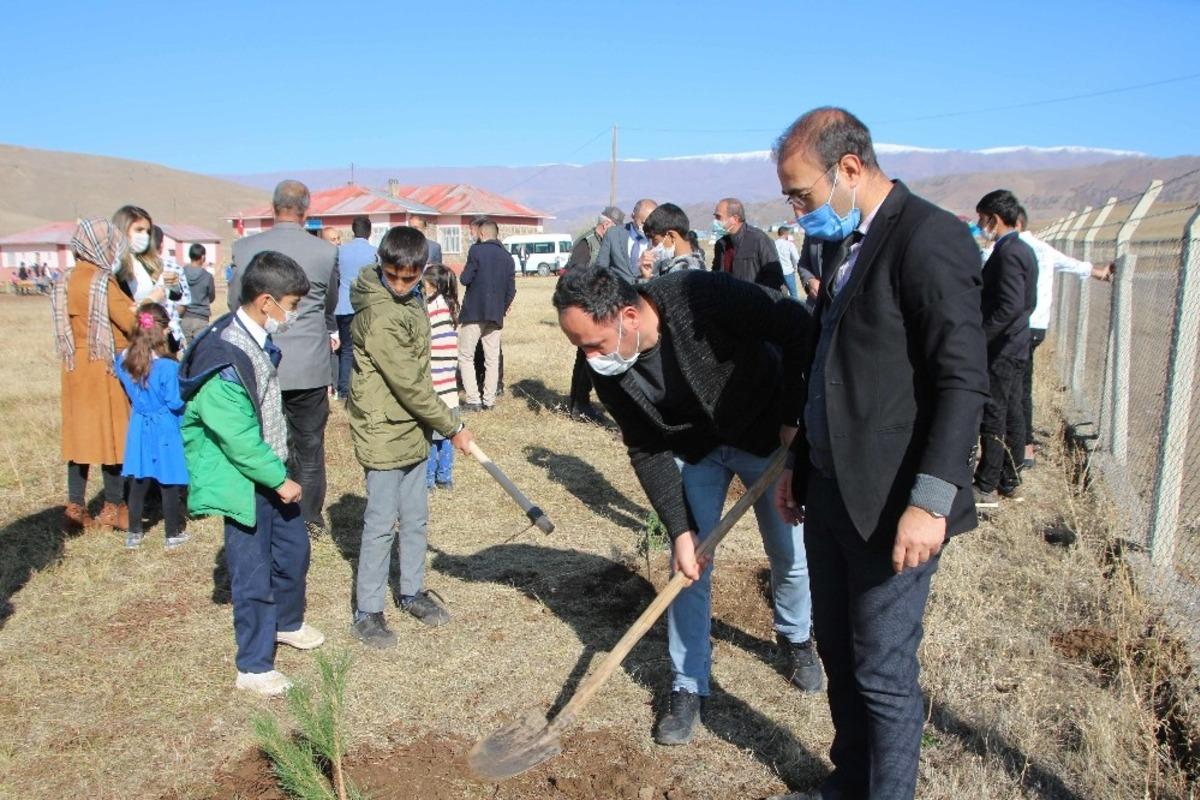 Varto&rsquo;da fidan dikimi