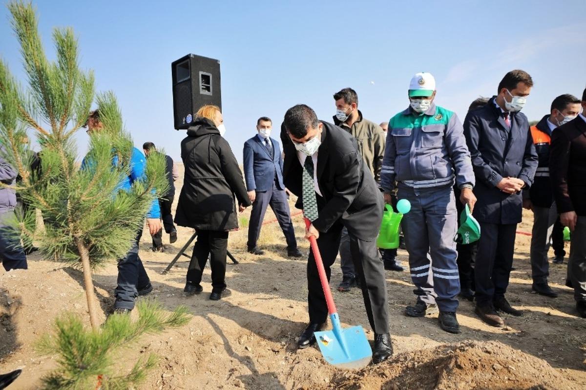 Şehitkamil&rsquo;de milyonlarca metrekare yeşil alan oluşturuldu