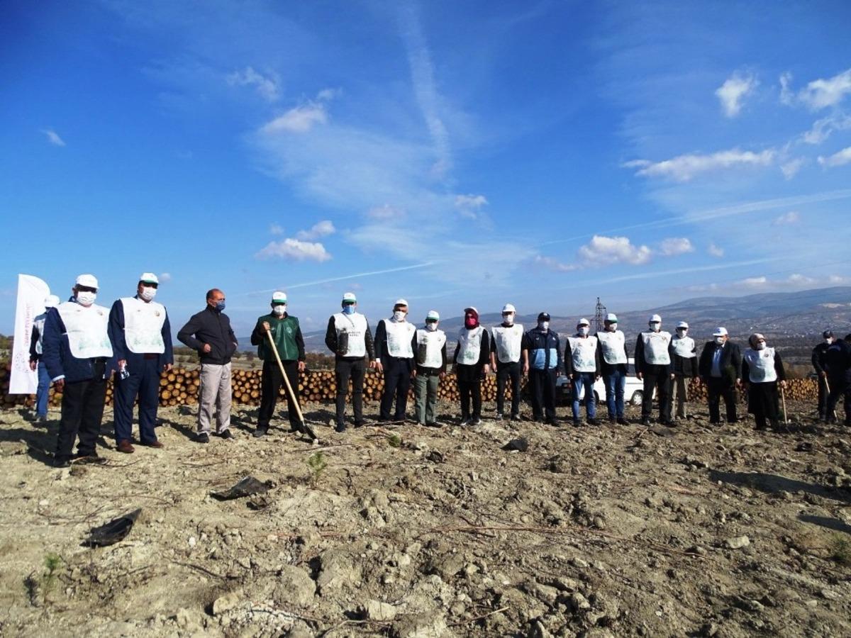 Hisarcık&rsquo;ta yanan orman alanı ağa&ccedil;landırılıyor