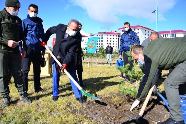 Ardahan’da 5000 fidan toprakla buluştu G1