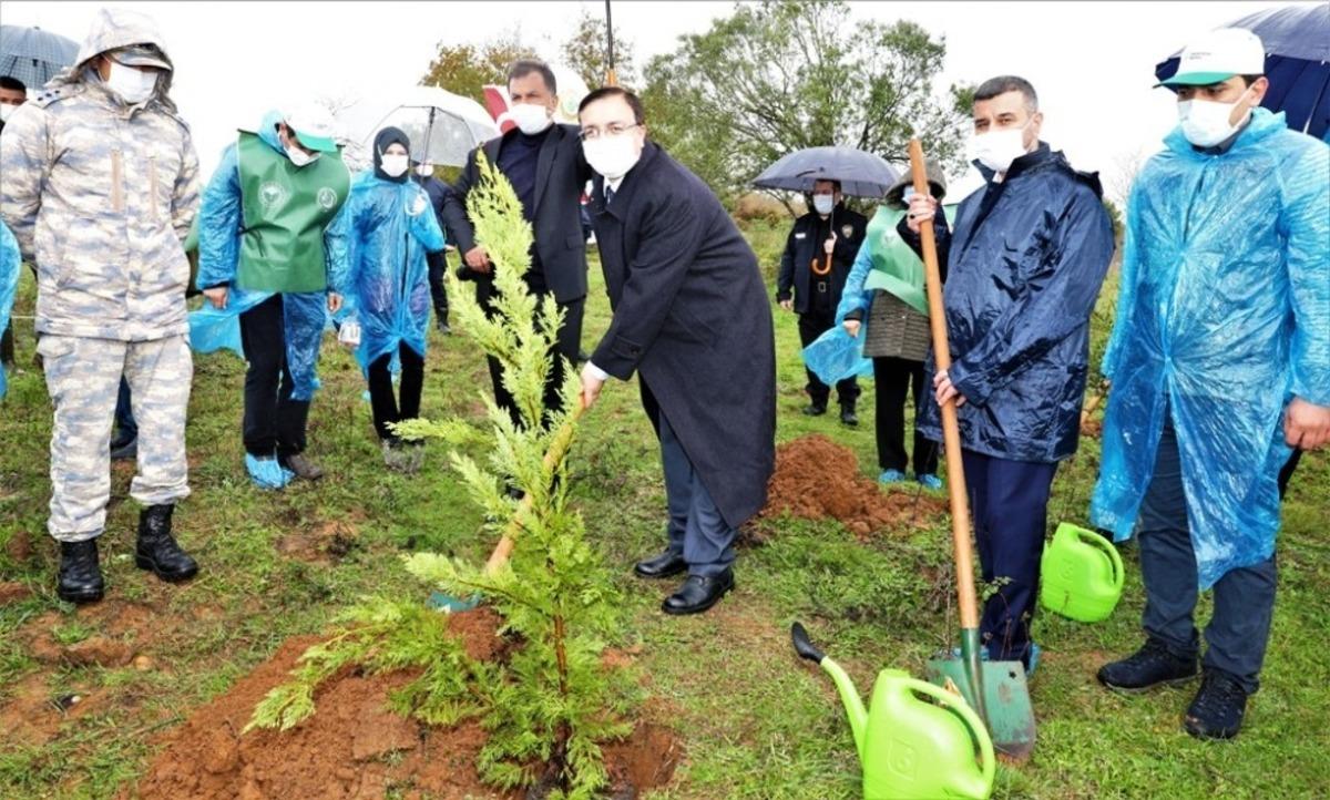 K&ouml;rfez&rsquo;de 500 fidan toprakla buluştu