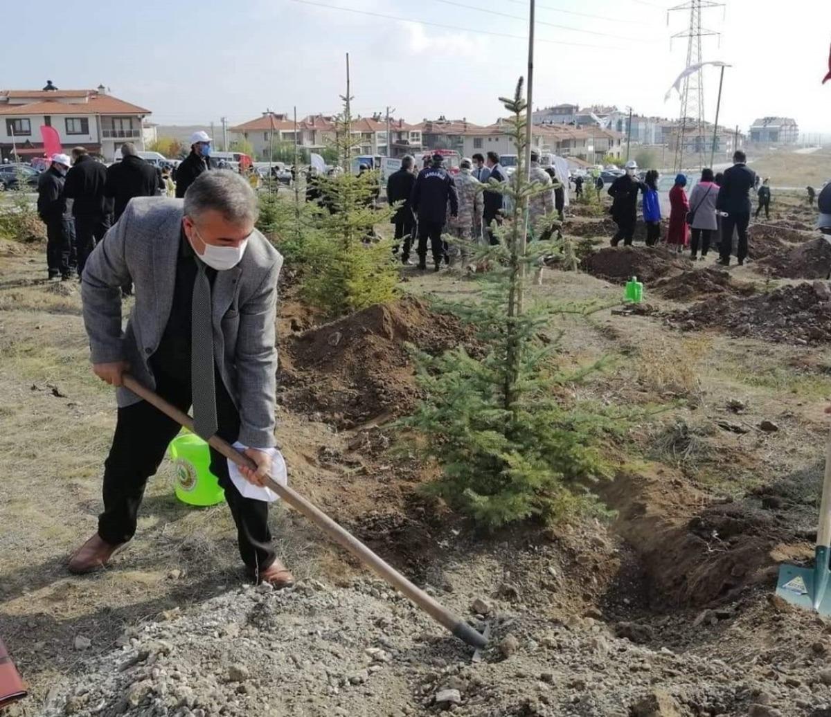 K&uuml;tahya il genelinde 241 bin 300 fidan toprakla buluştu