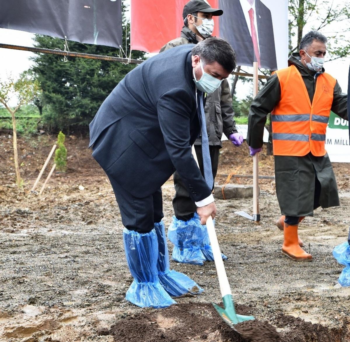 Giresun&rsquo;da 31 bin 670 fidan toprakla buluştu