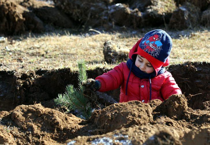 Doğu Anadolu'da fidanlar toprakla buluştu G1
