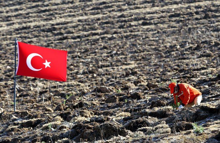 Doğu Anadolu'da fidanlar toprakla buluştu G3