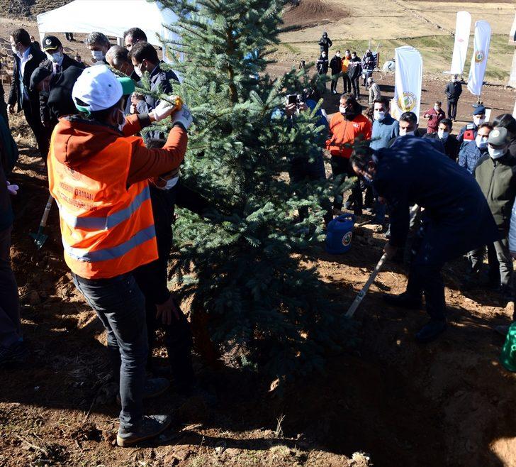 Doğu Anadolu'da fidanlar toprakla buluştu G4