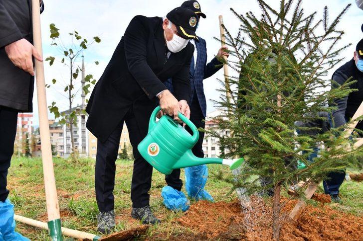 Trabzon’da 40 bin fidanla toprakla buluştu G2