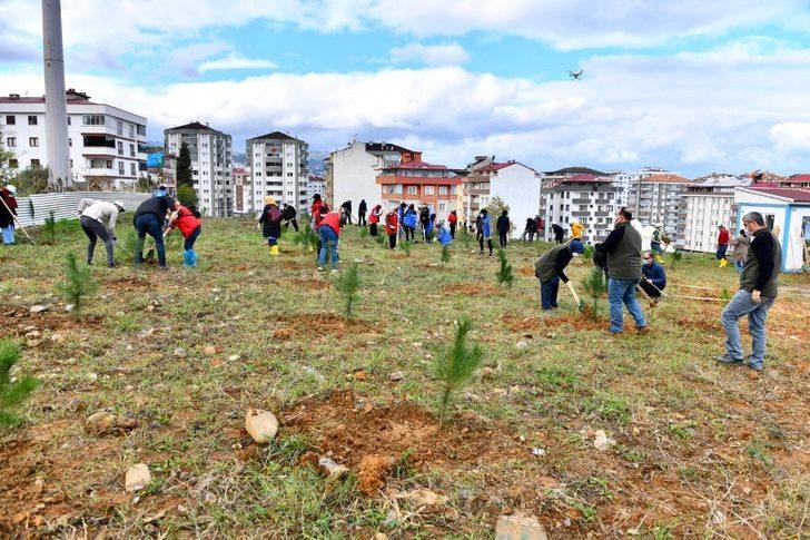 Trabzon’da 40 bin fidanla toprakla buluştu G3