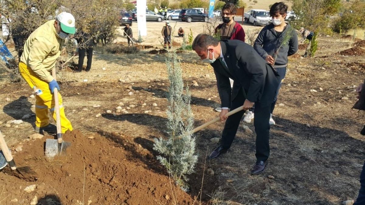 Gen&ccedil;ler daha yeşil bir T&uuml;rkiye i&ccedil;in fidan dikti