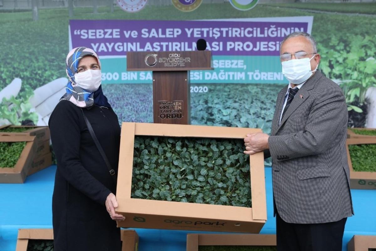 Ordu&rsquo;da salep atağı