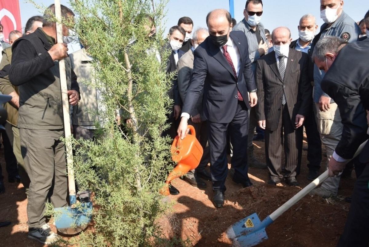 Şanlıurfa&rsquo;da binlerce fidan toprakla buluştu