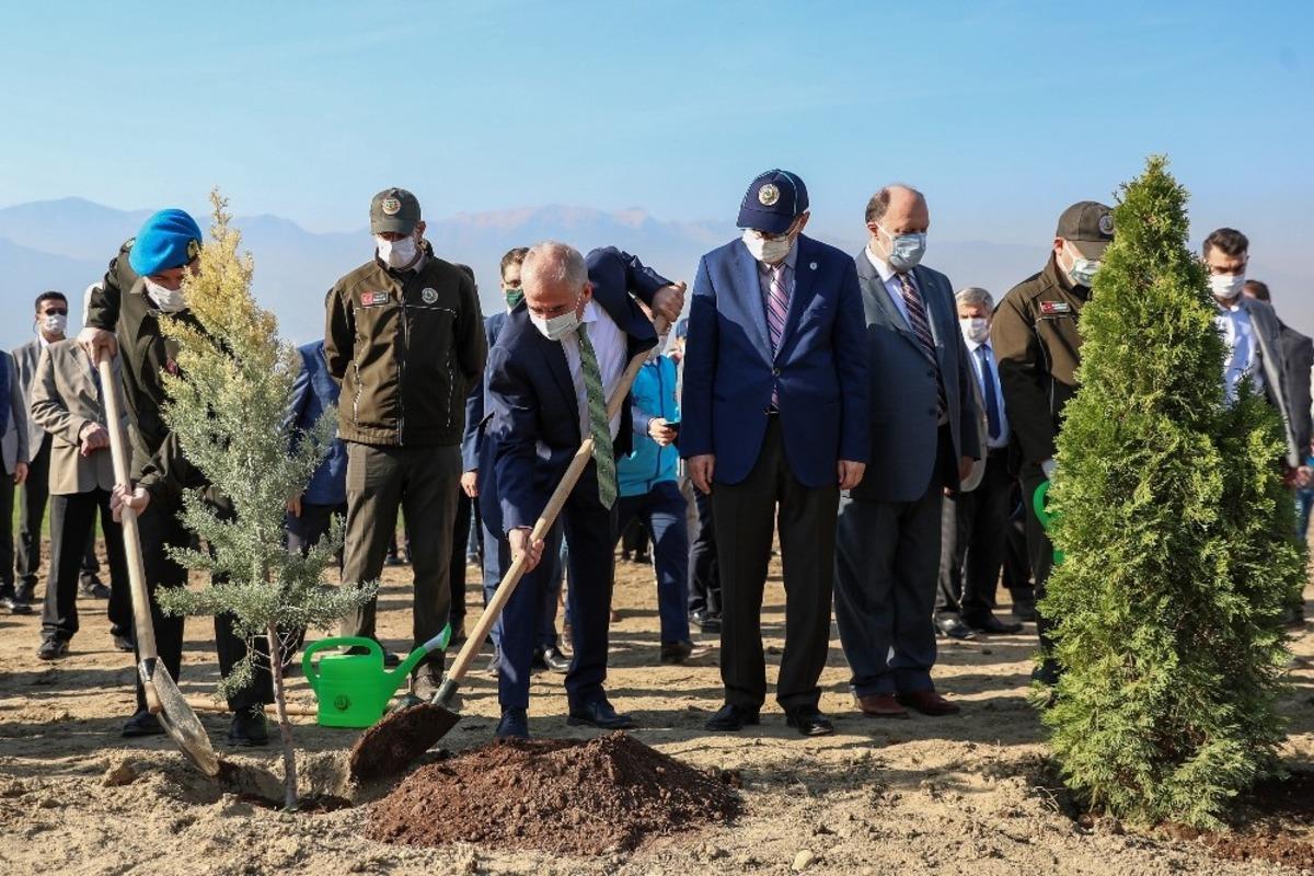 Denizli&rsquo;de 31 bin 900 fidan toprakla buluşuyor