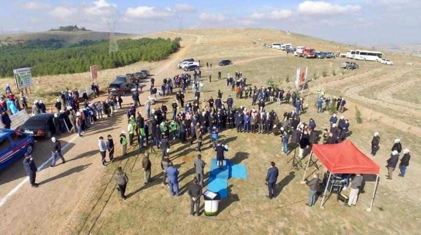 Afyonkarahisar&rsquo;da 35 bin fidan toprakla buluştu