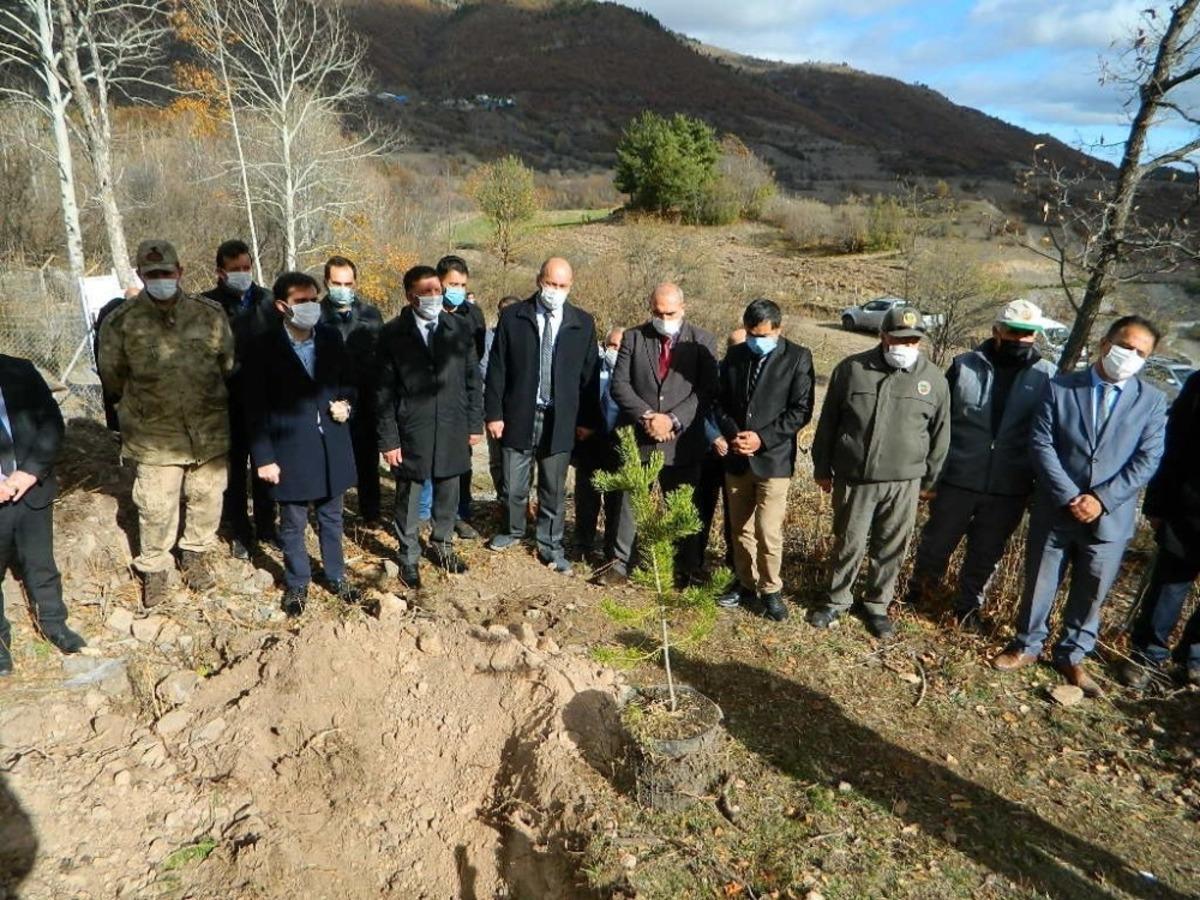 Posof&rsquo;ta 500 fidan dikildi